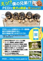 コロユキデザイン (coroyuki_design)さんの愛犬の親戚が見つかるサイト「PEDI（ペディ）」のチラシデザイン依頼への提案