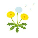 ひよこ (hiyodango)さんの病院の送迎バスにつけるイラストへの提案