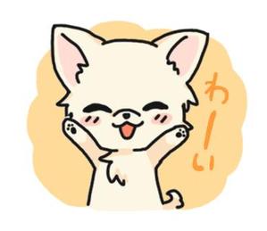maguma (redmaguma)さんのSDチワワのLINEスタンプへの提案