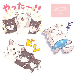 花 (bac_bac)さんのSDチワワのLINEスタンプへの提案