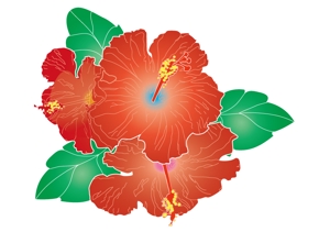 kikutoさんのハワイアンマナヒーリングの朱実カウラオヒのロゴへの提案