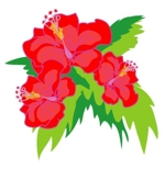 kusunei (soho8022)さんのハワイアンマナヒーリングの朱実カウラオヒのロゴへの提案