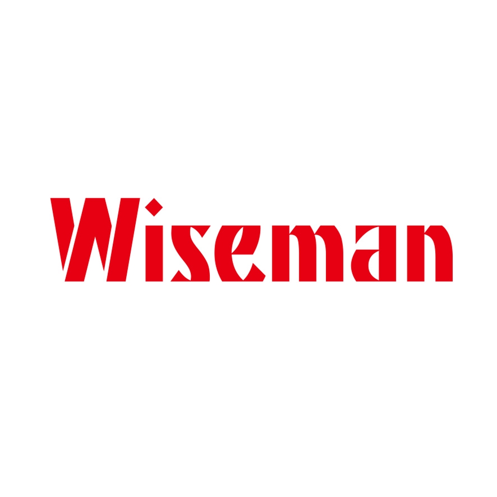 Wiseman-2.jpg
