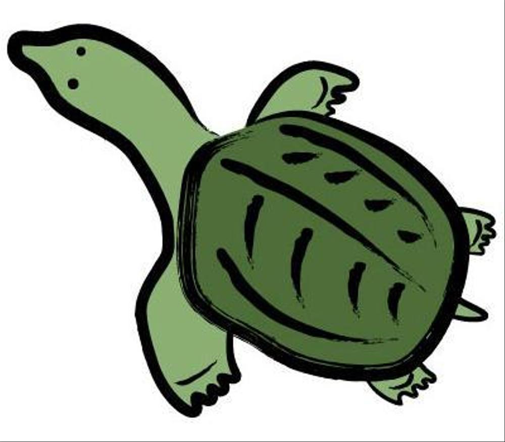 すっぽん.jpg