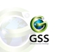 FR LANCERS SAMPLE-GLOBAL SUCCESS STRATEGY-2.png
