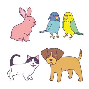 ÜNDY ()さんの春日丘動物病院（犬、猫、うさぎ、小鳥）のキャラクターデザインへの提案