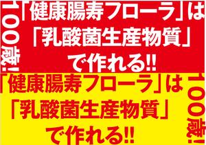 yuki1207 (yuki1207)さんのビッグサイトで開催される食品原料展示会にて、当社をアピールするポスターへの提案