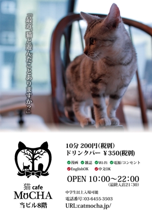 きんちゃく ()さんの猫カフェの店頭ポスターデザインへの提案