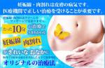 木村　道子 (michimk)さんの美容クリニックの集客ページのTOP画像製作への提案