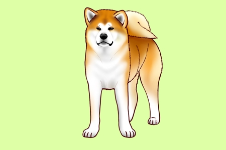 Kioyoshidaさんの事例 実績 提案 秋田犬のイラスト ジャングル