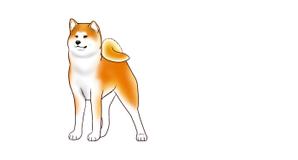 宮田彩生（みやた　あおい） (KioYoshida)さんの秋田犬のイラスト　（ジャングル大帝レオ風で）への提案