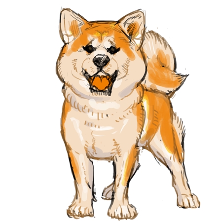 最も選択された 秋田 犬 イラスト 最高の壁紙のアイデアcahd