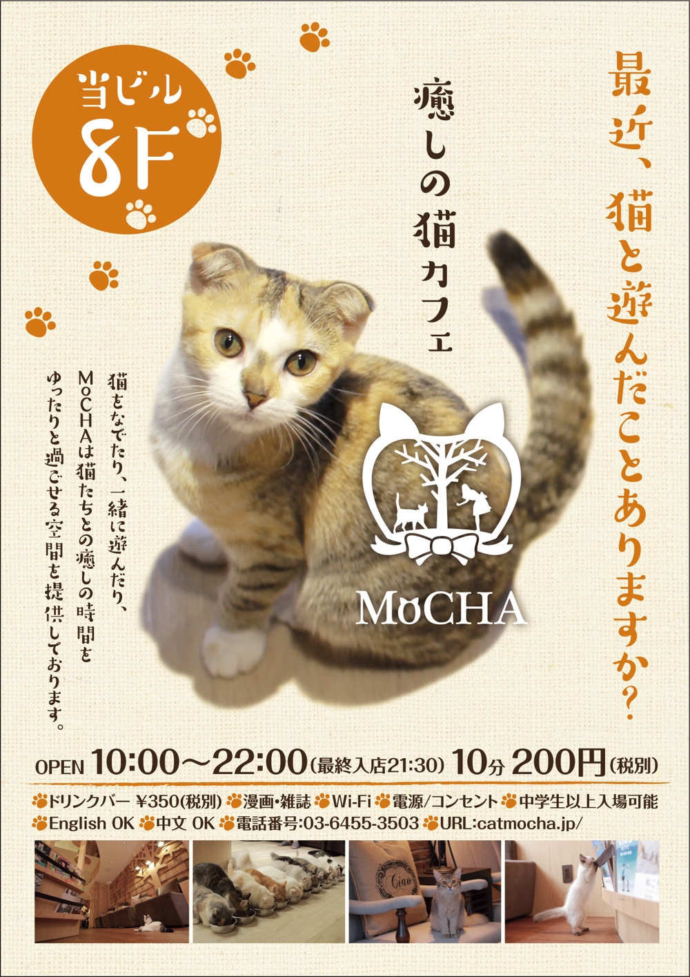 猫カフェの店頭ポスターデザイン