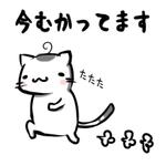 透兎 (achroite_rabbit)さんのネコの可愛いゆるキャラのLINEスタンプの作成依頼への提案