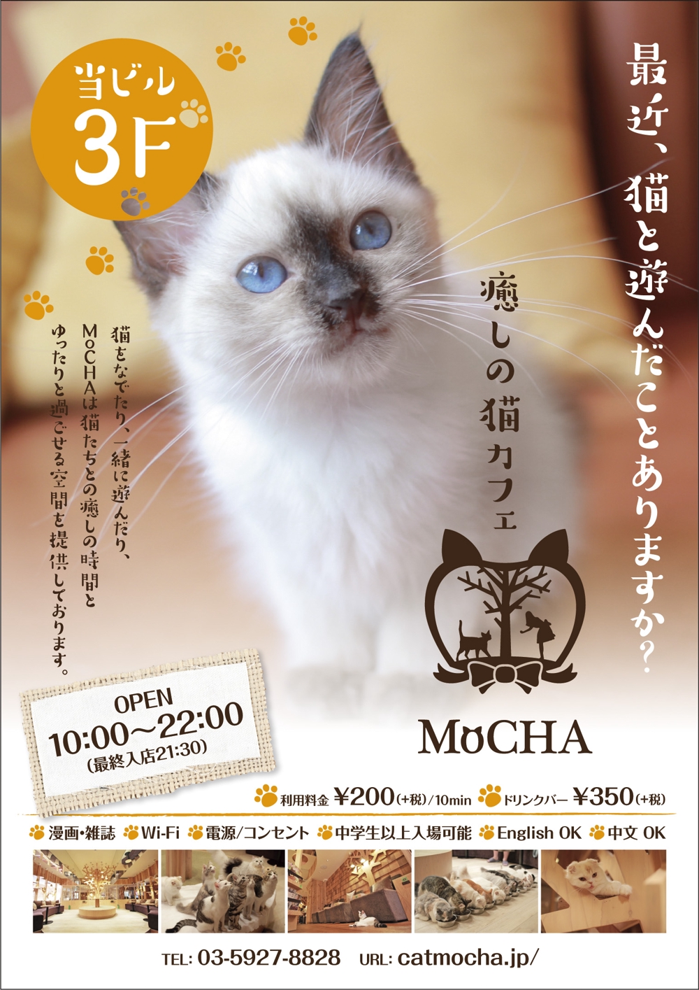猫カフェの店頭ポスターデザイン