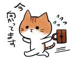 里内良 (satouchi)さんのネコの可愛いゆるキャラのLINEスタンプの作成依頼への提案