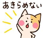 しもつき (shimotuki)さんのネコの可愛いゆるキャラのLINEスタンプの作成依頼への提案