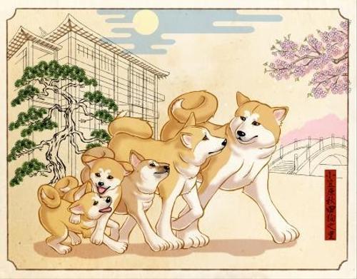 leica-laikaさんの事例・実績・提案 - 秋田犬のイラスト （ジャングル