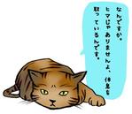 透兎 (achroite_rabbit)さんのちょっとリアルで真面目なことを言う猫のLINEスタンプへの提案