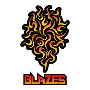 BTM Design ()さんのCLUBや飲食の事業を展開する「株式会社BLAZES」のロゴへの提案