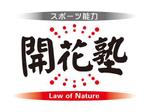 山田アートワークス　山田のりやす (ArtWorks)さんの「スポーツ能力開花塾　Law of Nature」のロゴ作成への提案