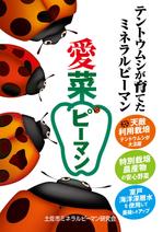 ゼロワン (zeroone)さんのピーマンのイメージポスター　デザインへの提案