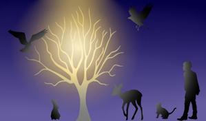 ハートオブマインド (heart_of_mind)さんの夜の森 輝く木に集う動物達のイラストへの提案