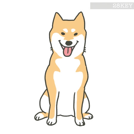 28key0さんの事例 実績 提案 犬の情報サイトのキャラクター 柴犬 のイラスト作成 Yurie0216 クラウドソーシング ランサーズ