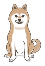 そのりょう (sonorah)さんの犬の情報サイトのキャラクター「柴犬」のイラスト作成への提案
