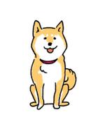 ygagarin (ygagarin)さんの犬の情報サイトのキャラクター「柴犬」のイラスト作成への提案