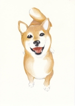 TOMOMI (sirako777)さんの犬の情報サイトのキャラクター「柴犬」のイラスト作成への提案