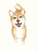 TOMOMI (sirako777)さんの犬の情報サイトのキャラクター「柴犬」のイラスト作成への提案