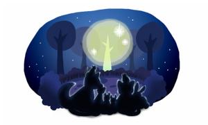 とよたま (toyotama)さんの夜の森 輝く木に集う動物達のイラストへの提案