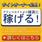 Yoshi (Yoshiyuki)さんのディレクトリネットワーク「パートナーサイト募集」のバナー作成（コンペ選考用１点）【１／２】への提案