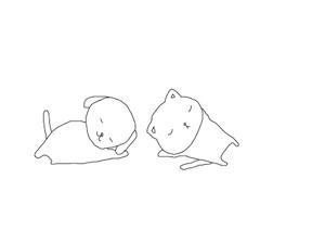 小寺宏美 (koromoon5)さんのペット関連事業のキャラクターイラストをお願いしますへの提案