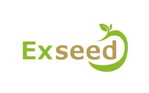 hal_wakaさんの「Exseed」のロゴ作成への提案