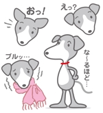 N.OKANO (n-okano)さんの犬(イタグレ)のLINEスタンプのキャラクターデザイン：の依頼詳細への提案