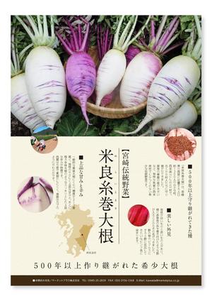 gino7 (gino7)さんの伝統野菜「米良糸巻大根」PRの販促チラシ制作への提案
