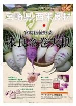 ココロワークス (cocoroworks)さんの伝統野菜「米良糸巻大根」PRの販促チラシ制作への提案