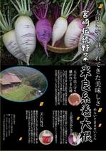 sato1116さんの伝統野菜「米良糸巻大根」PRの販促チラシ制作への提案