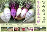 ｋ-3 ()さんの伝統野菜「米良糸巻大根」PRの販促チラシ制作への提案