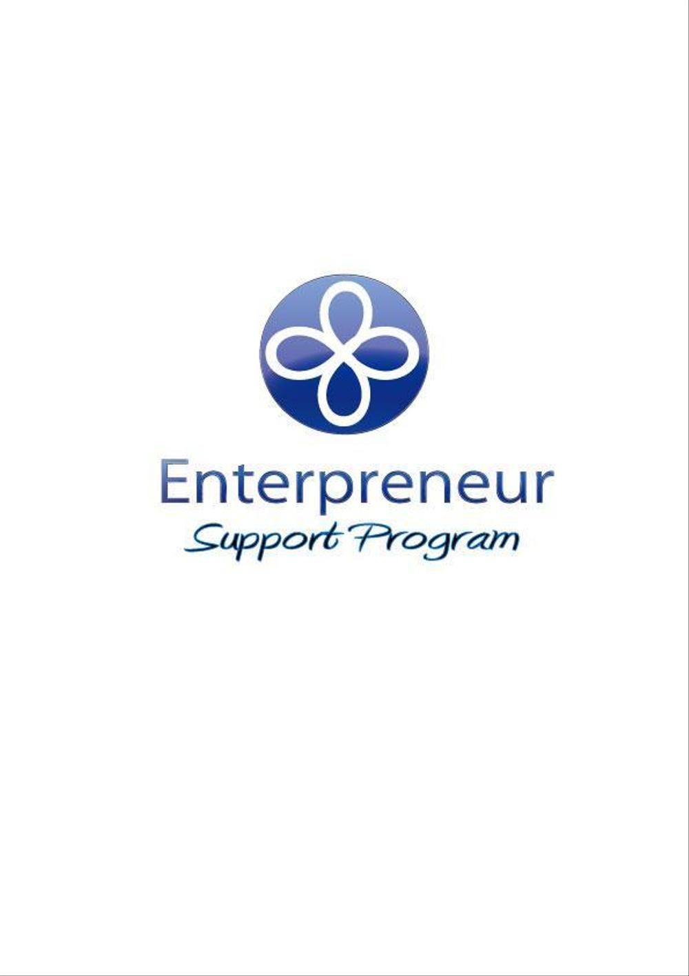 Entrepreneur-support-program5.jpg