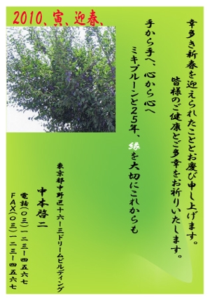 kusunei (soho8022)さんの年賀状のデザイン作成への提案
