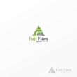 Fuji-Fines4.jpg