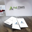 Fuji-Fines3.jpg