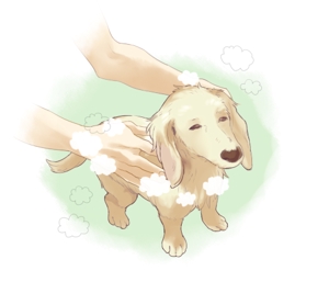 mika (mk_nk_39)さんのペット（犬）をシャンプーしているイラスト作成への提案