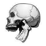 perles de verre (perles_de_verre)さんのドクロ（SKULL）のイラスト作成1点への提案