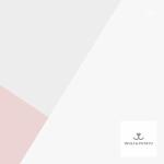 mnb332さんの「ウルフトポテト」（犬のおやつ専門店）のWEBカラー（3色）を決めてください。ブランディング構築への提案