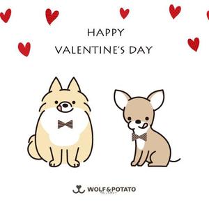 chikachika (chikakou10)さんのイヌのキャラクターデザイン（犬のおやつ専門店）今後も継続して依頼希望への提案