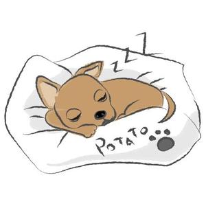 SHOKO UMENO (ume_47)さんのイヌのキャラクターデザイン（犬のおやつ専門店）今後も継続して依頼希望への提案